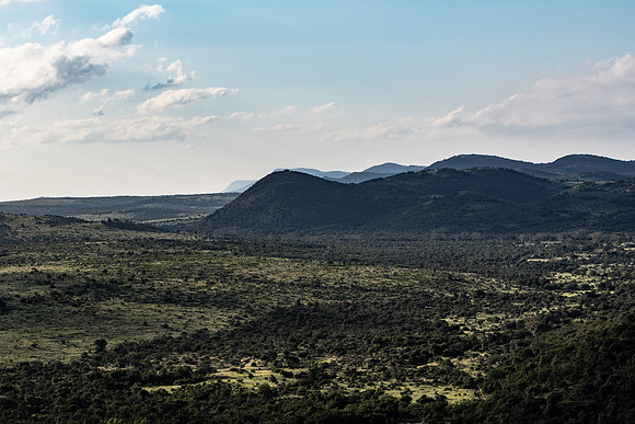 Safari Day 1-8515