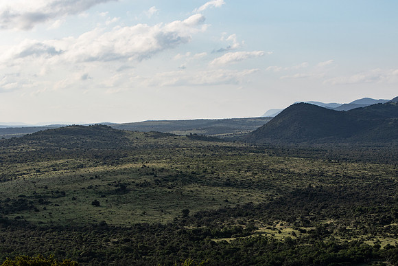 Safari Day 1-8516