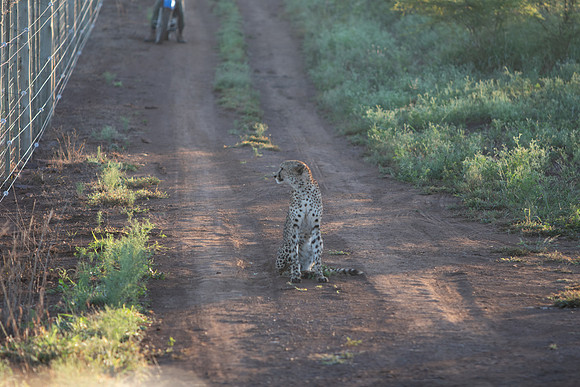 Safari Day 1-8599