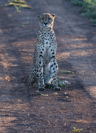 Safari Day 1-8605