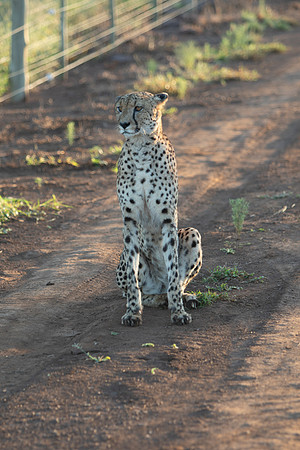 Safari Day 1-8615