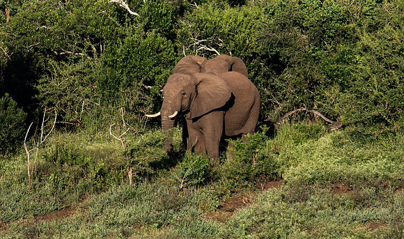 Safari Day 1-8697