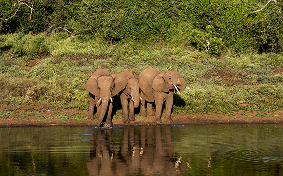 Safari Day 1-8716