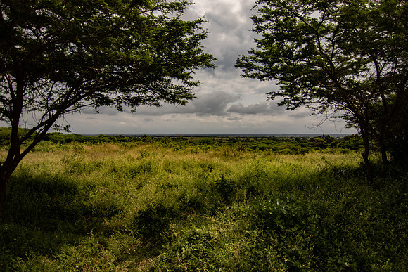 Safari Day 3-8933