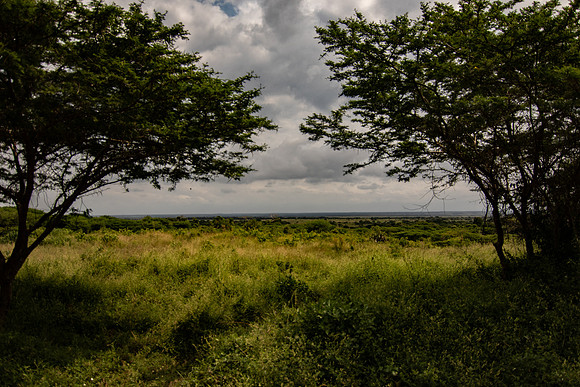 Safari Day 3-8935