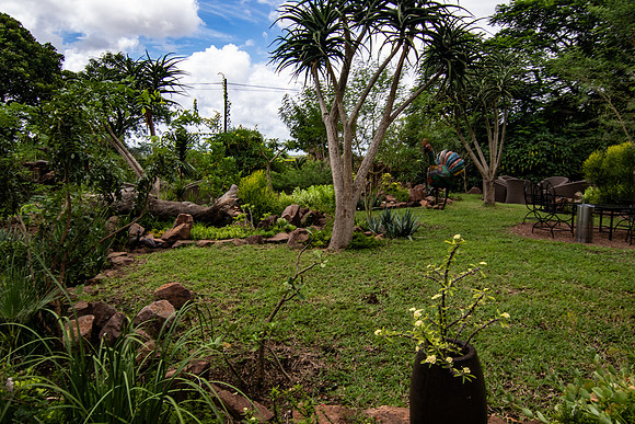 Safari Day 5-9340