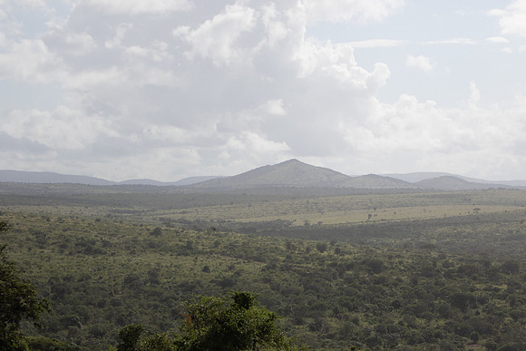 Safari Day 5-9380