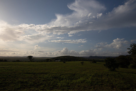 Safari Day 5-9515