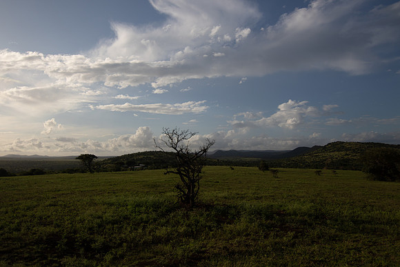 Safari Day 5-9516