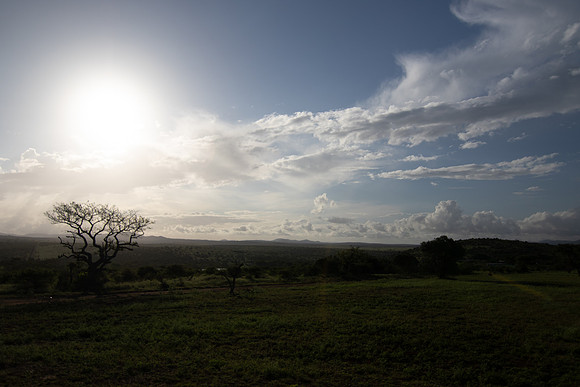 Safari Day 5-9519