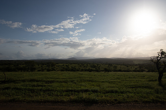 Safari Day 5-9520