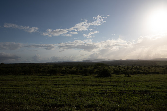 Safari Day 5-9521