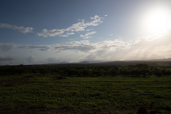 Safari Day 5-9522