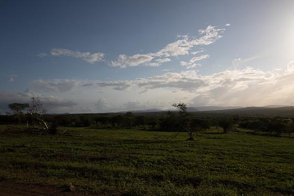 Safari Day 5-9523