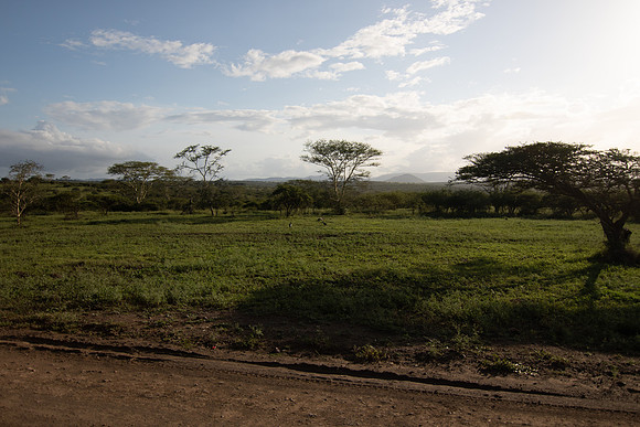 Safari Day 5-9525