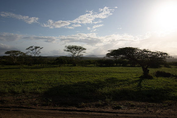 Safari Day 5-9526