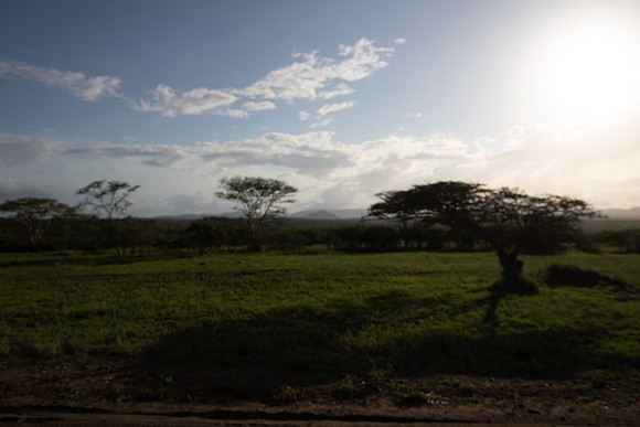 Safari Day 5-9528