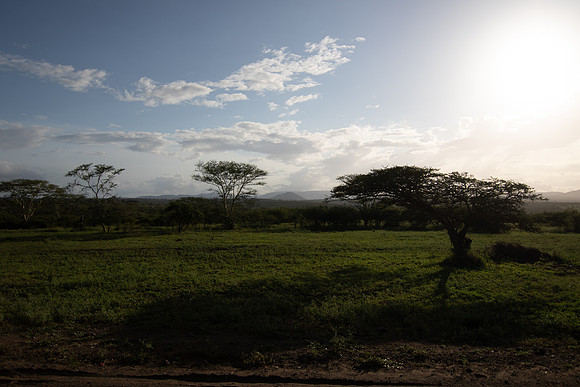 Safari Day 5-9529