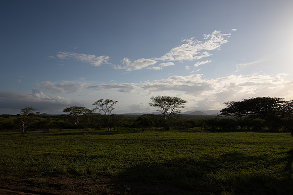 Safari Day 5-9531