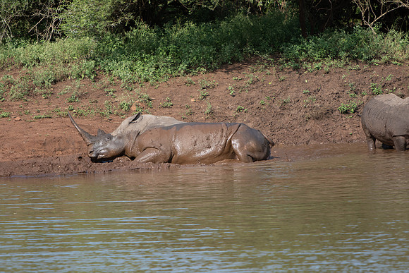 Safari Day 6-9747